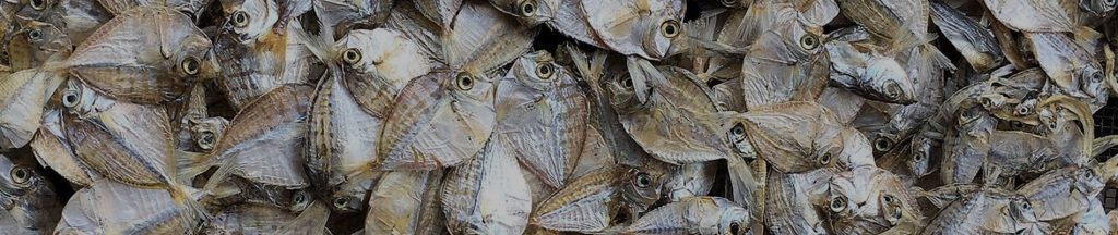 خرید و قیمت دستگاه خشک‌ کن ماهی و آبزیان دریایی شامل راهنمای کامل و گام به گام خرید دستگاه خشک کن ماهی-دستگاه ماهی خشک کن-رطوبت گیر ماهی