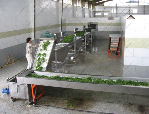 دستگاه مکانیزه شستشوی سبزیجات
