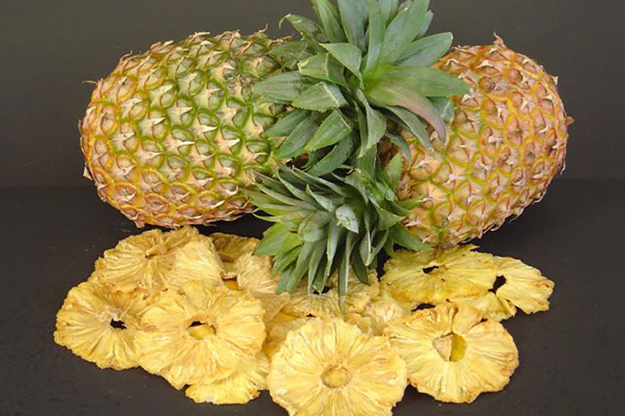 تهیه آناناس خشک با دستگاه خشک کن میوه