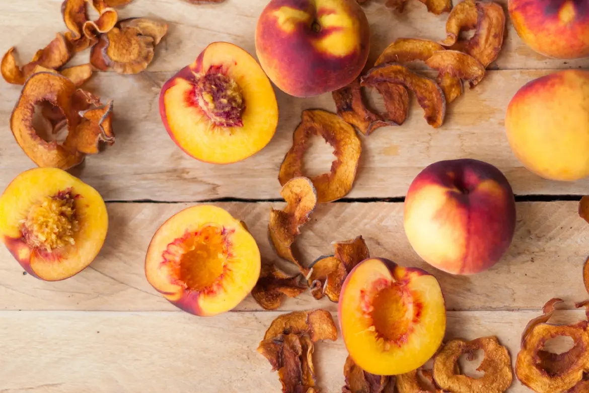 دستگاه خشک کن میوه گازی بهتر است یا برقی ؟ تامین حرارت غیر مستقیمی که به صورت سیرکوله در دستگاه خشک کن میوه میچرخد با گاز مناسب تر است یا با برق