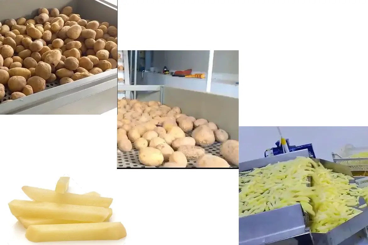 قیمت خط تولید خلال سیب زمینی در کمترین زمان از طرف سازنده ماشین آلات تولید خلال سیب زمینی البرز ماشین کرج این دستگاه ها برای تولید خلال سیب زمینی استفاده ...