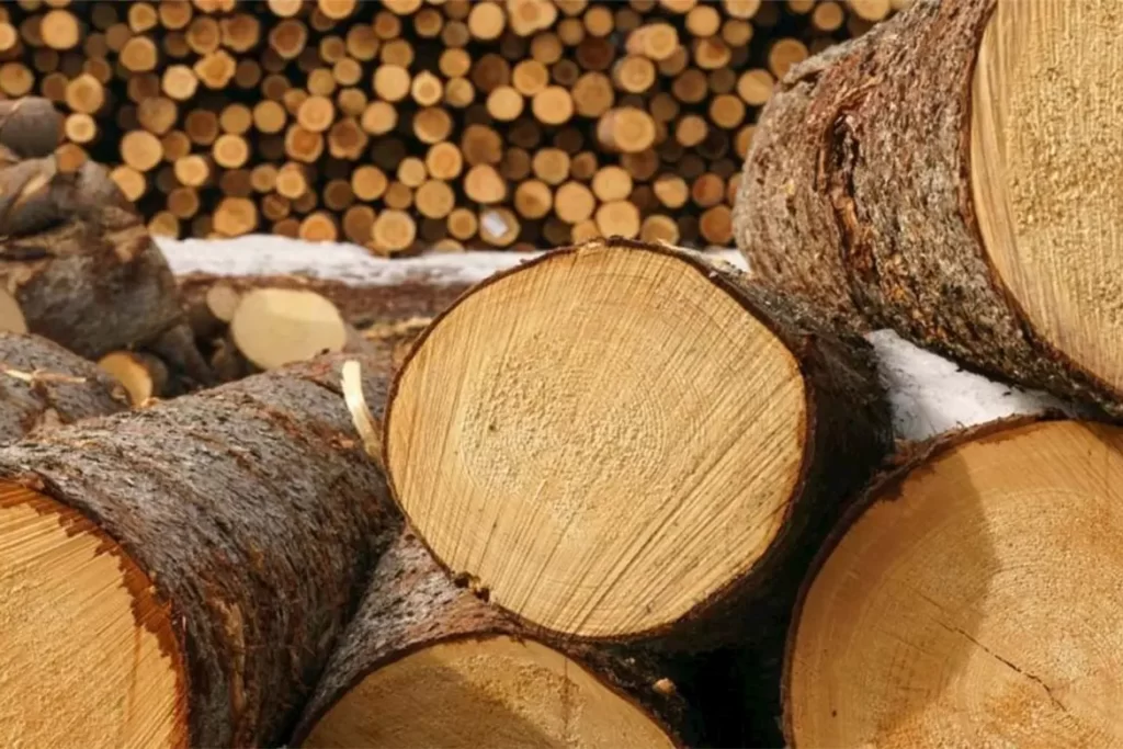 دستگاه خشک کن چوب به خشک شدن سریعتر انواع چوب کمک می کند. اگر چوب زیادی دارید، می توانید آنها را درون سینی ها قرار دهید. فضای زیادی بین قطعات چوب باقی بماند