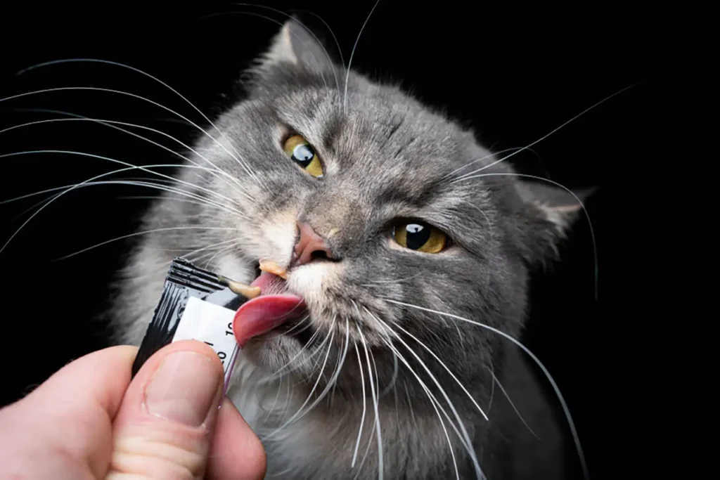 دستگاه بسته بندی بستنی گربه، با استفاده از دستگاه بسته بندی ساشه تولیدی شرکت البرز ماشین کرج میتوانید به سادگی بستنی گربه را در بسته های کوچک بسته بندی کنید