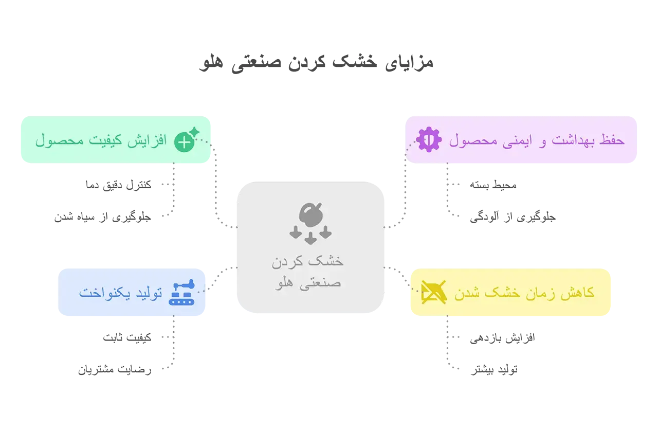 با راه‌ اندازی خط تولید برگه هلو به یک کارآفرین موفق تبدیل شوید! راهنمای جامع از مراحل تولید تا انتخاب بهترین خشک کن برگه هلو و افزایش سودآوری.